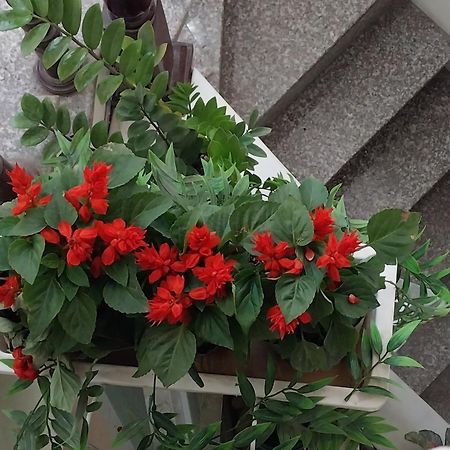 Da Tree Homestay Hanoi Luaran gambar
