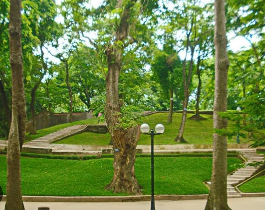 Da Tree Homestay Hanoi Luaran gambar